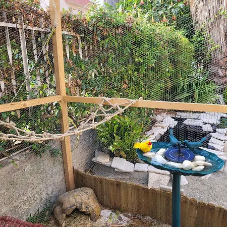 Bed & Breakfast Magna Grecia Sant'Eufemia Lamezia