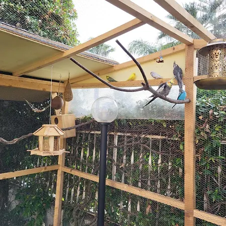 Panzió Magna Grecia SantʼEufemia Lamezia