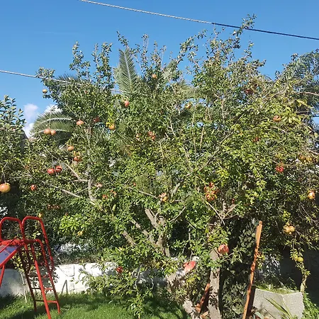 Bed & Breakfast Magna Grecia 4*