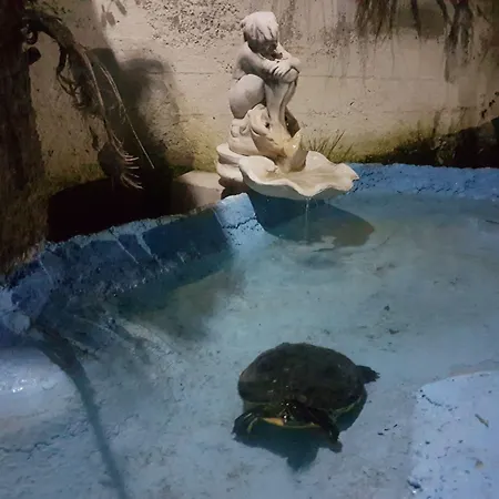 Panzió Magna Grecia 4*