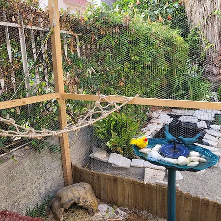 Magna Grecia Panzió 4*