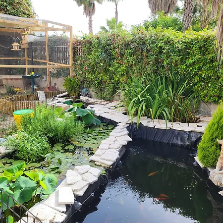 Bed & Breakfast Magna Grecia 4*