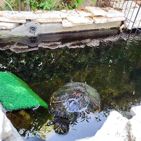 Bed & Breakfast Magna Grecia 4*