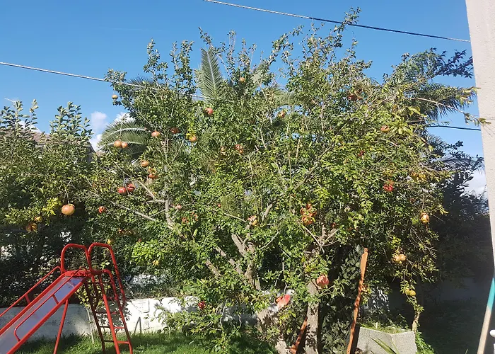 Bed & Breakfast Magna Grecia 4*