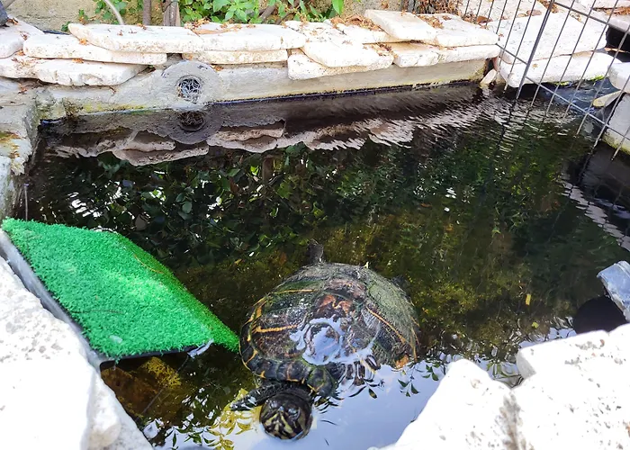 Bed & Breakfast Magna Grecia 4*